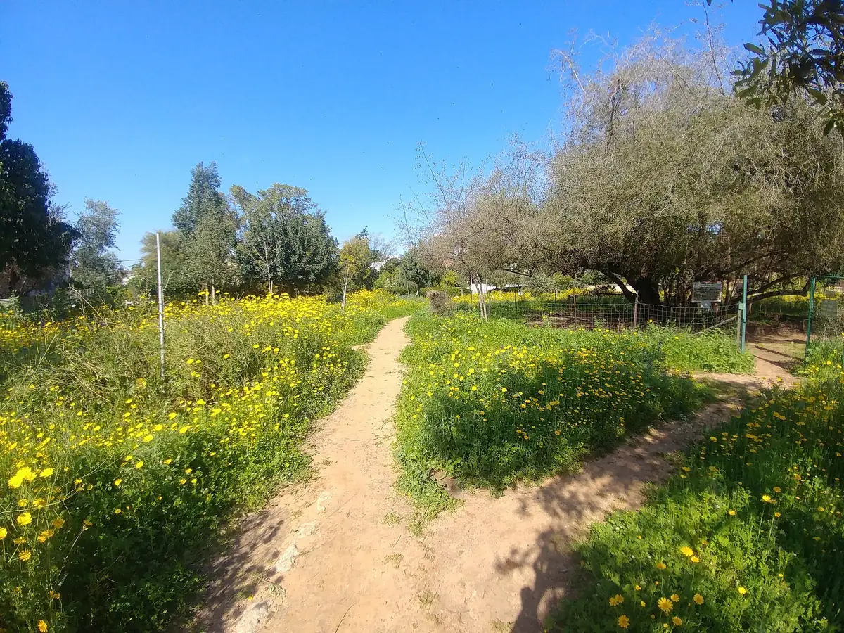 Entrance path to the Etz HaShizaf urban nature reserve