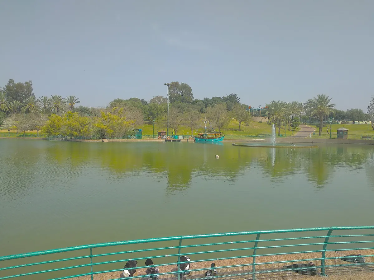 The clover-shaped lake in Ra'anana Park